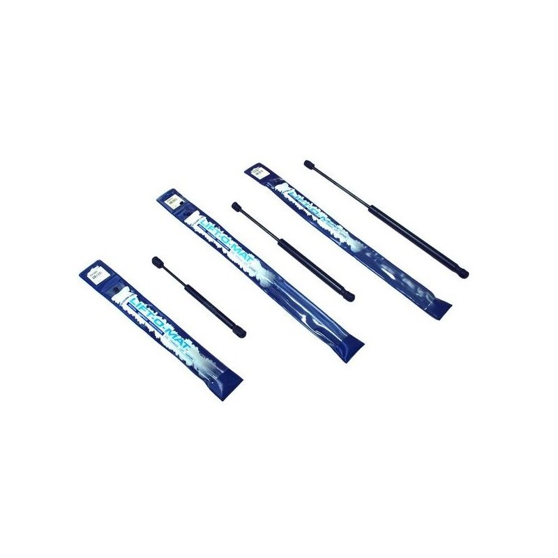 FORD/TRITONAMORTIGUADOR COFRE TRITON 99-07 LR