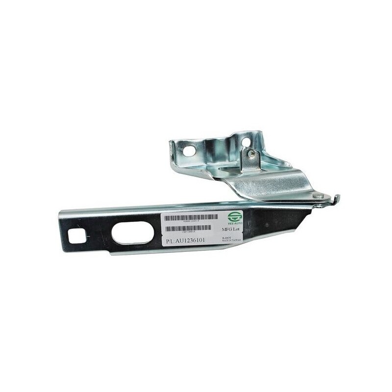 AUDI/AUDI A4BISAGRA COFRE AUDI A4 09-16 R